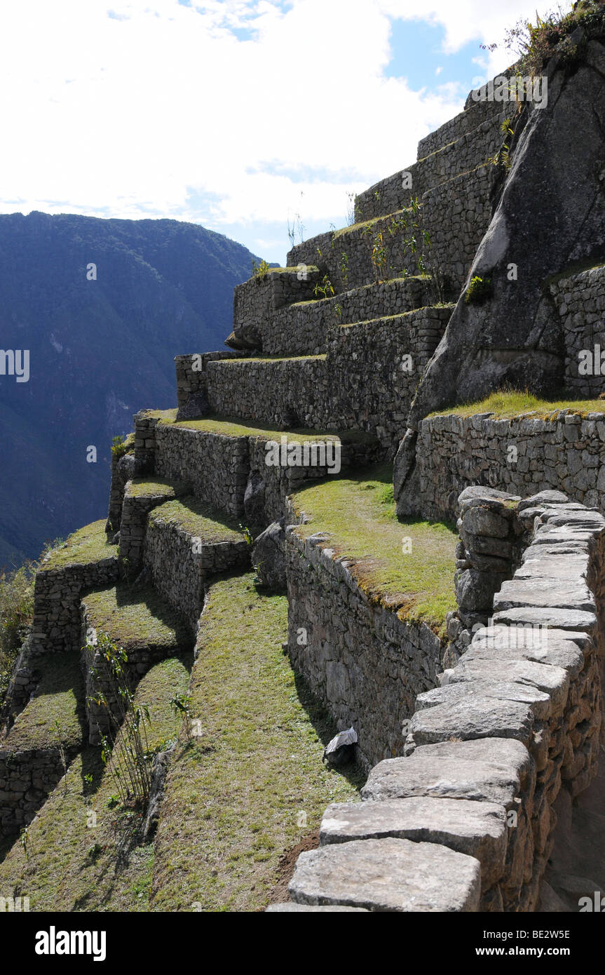 Zona agricola terraces, Inca settlement, Quechua settlement, Machu Picchu, Peru, South America, Latin America Stock Photo