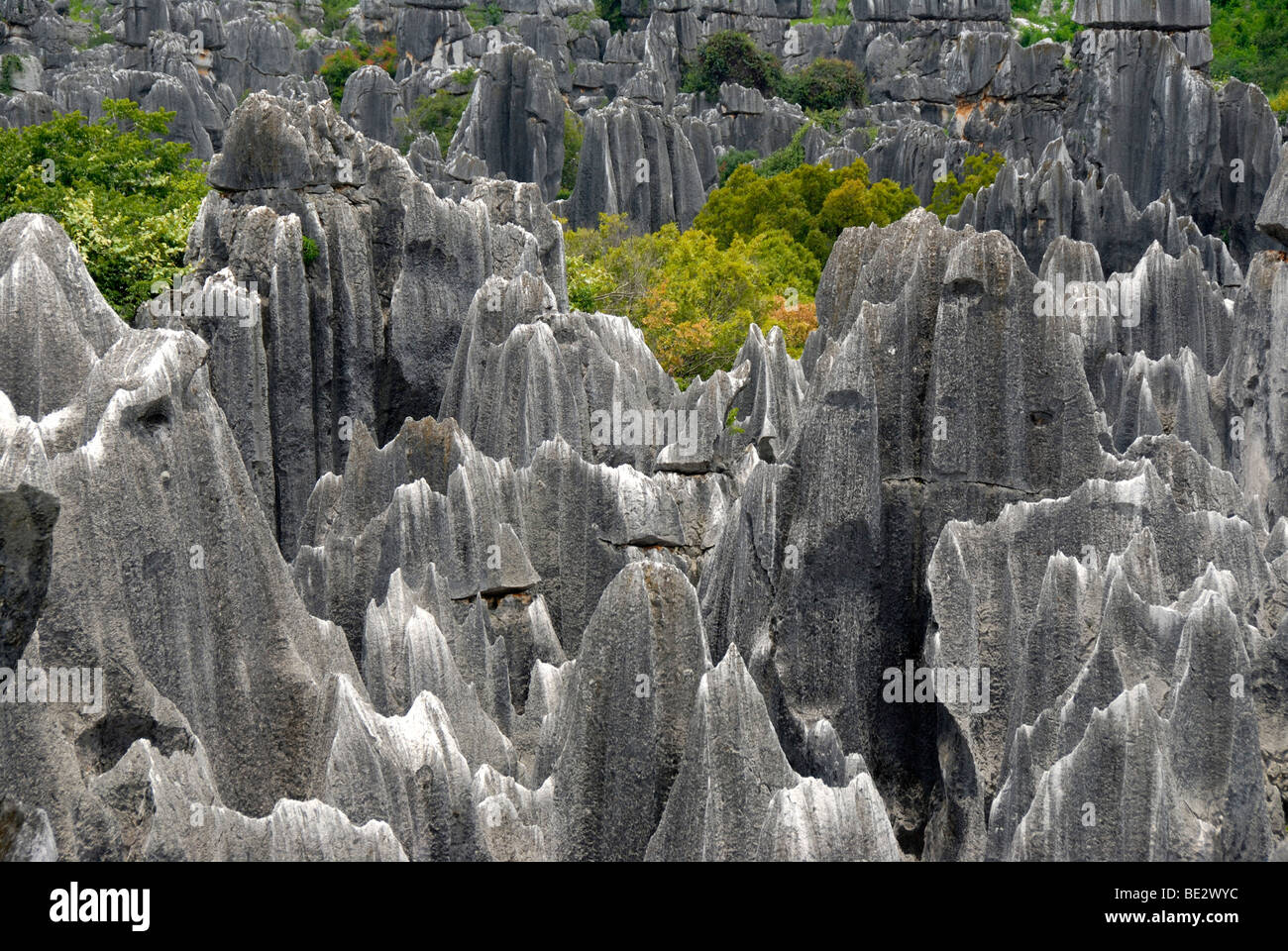 UNESCO World Heritage Site, rocks like sculptures, Karst topography, Shilin Stone Forest, Yunnan Province, People's Republic of Stock Photo