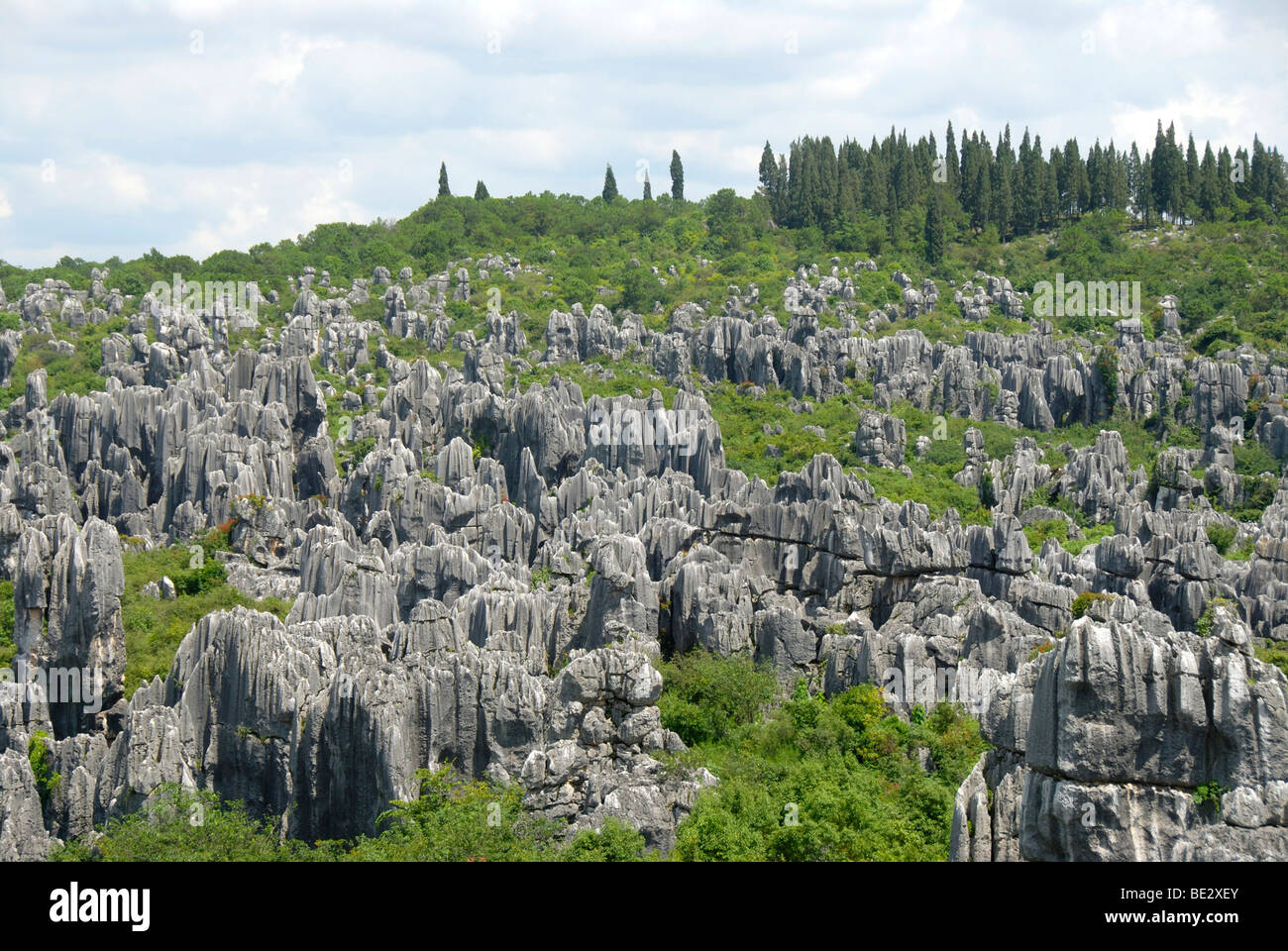 Shilin karst hires stock photography and images Alamy