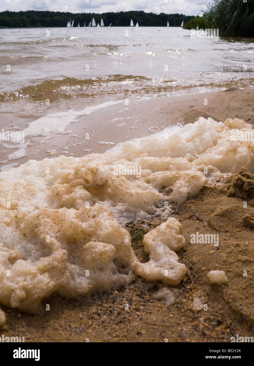 Froth and foam on the water at Frensham Great Pond. Churt, Near Farnham, Surrey. UK. Stock Photo