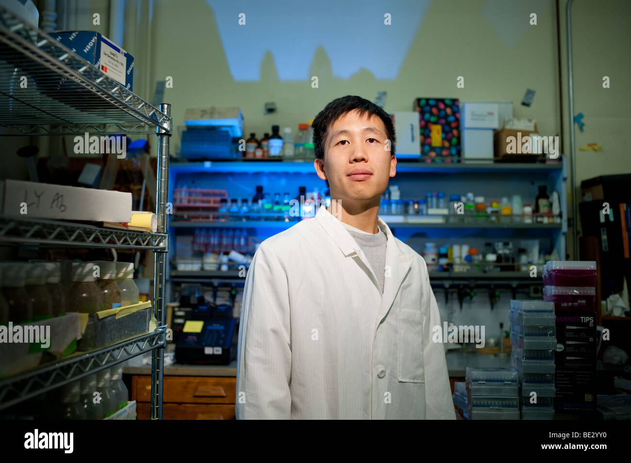 Research Scientist in his lab Stock Photo