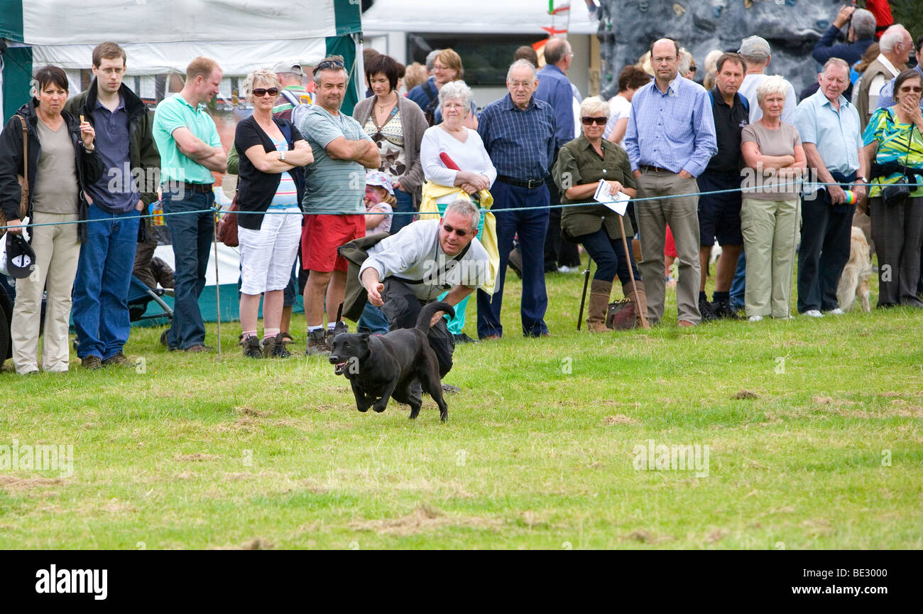 Audience watching trained dog displaying his skills at Coniston Country Fair Stock Photo