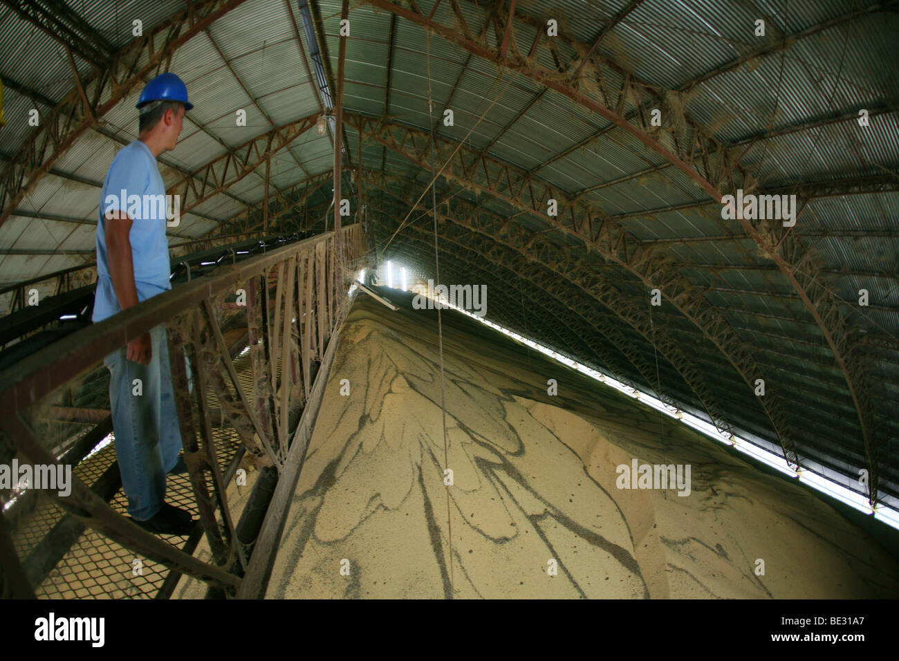 Brazil is the world's largest soybean producer. Where once rainforest