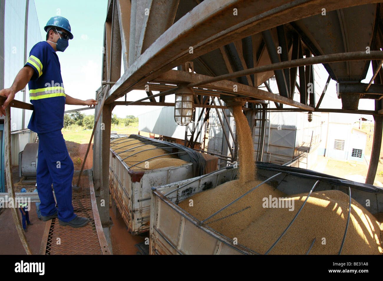Brazil is the world's largest soybean producer. Where once rainforest