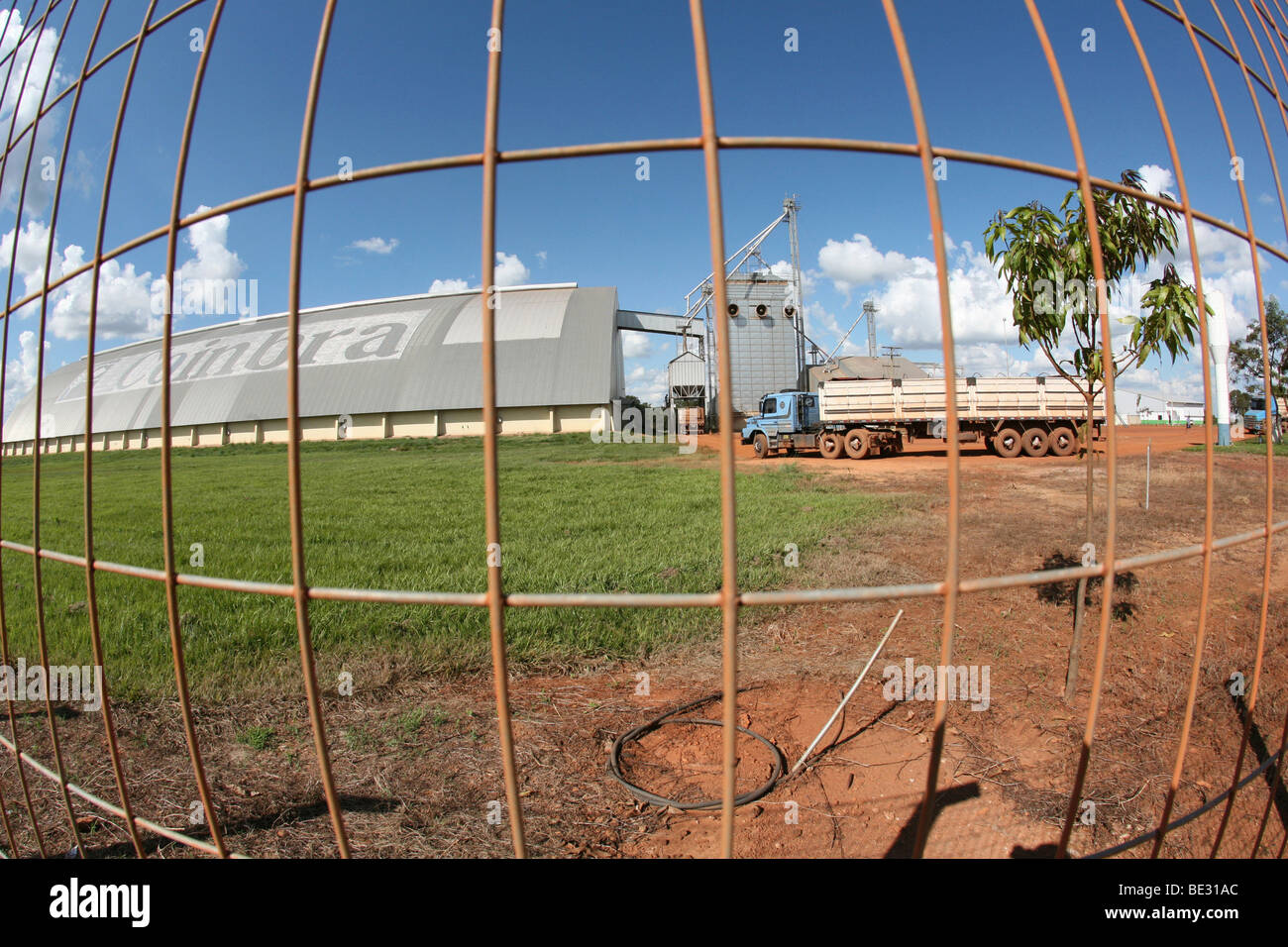 Brazil is the world's largest soybean producer. Where once rainforest