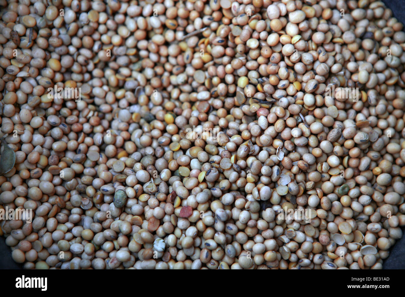 Brazil is the world's largest soybean producer. Where once rainforest