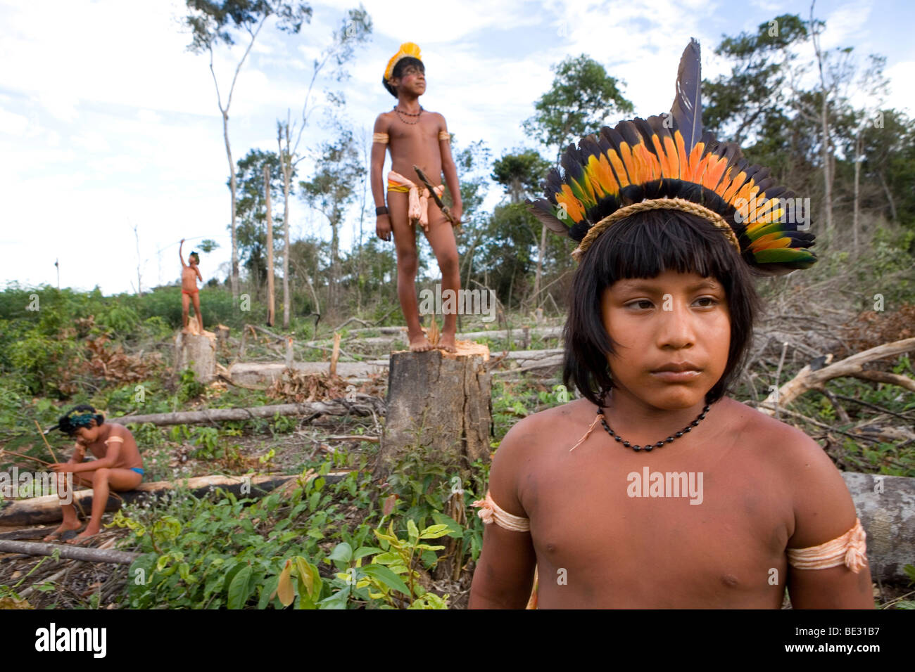 A lrage part of the Amazone has been destroyed and transferred into farmland. The main crops being cultivated are soya, grass fo Stock Photo