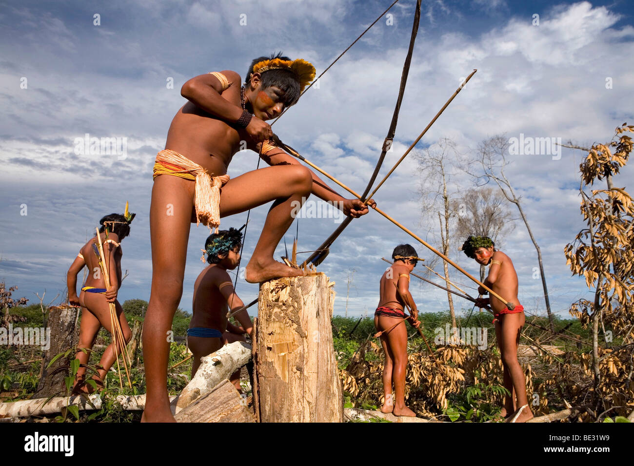 A lrage part of the Amazone has been destroyed and transferred into farmland. The main crops being cultivated are soya, grass fo Stock Photo