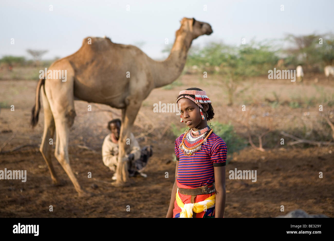 Ethiopian people living in the North of the country are related to Somali people. They are nomadic and live from cattle farming. Stock Photo