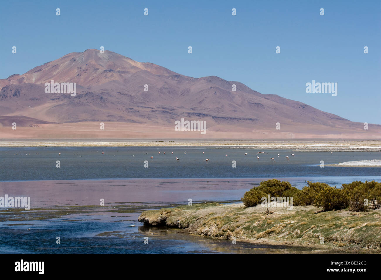 Salar de Tara (Tara Salt Lake), Atacama Desert, Chile Stock Photo