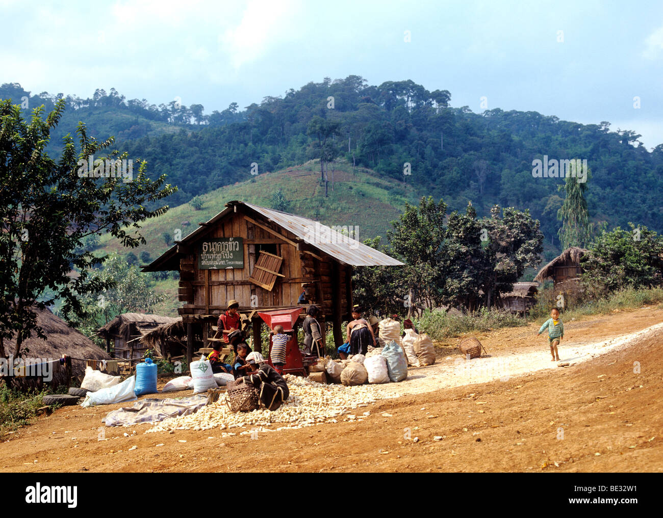 Man from the Lahu people, hill tribe, ethnic minority, carrying bamboo  poles, Mae Hong Song Province, Northern Thailand Stock Photo - Alamy