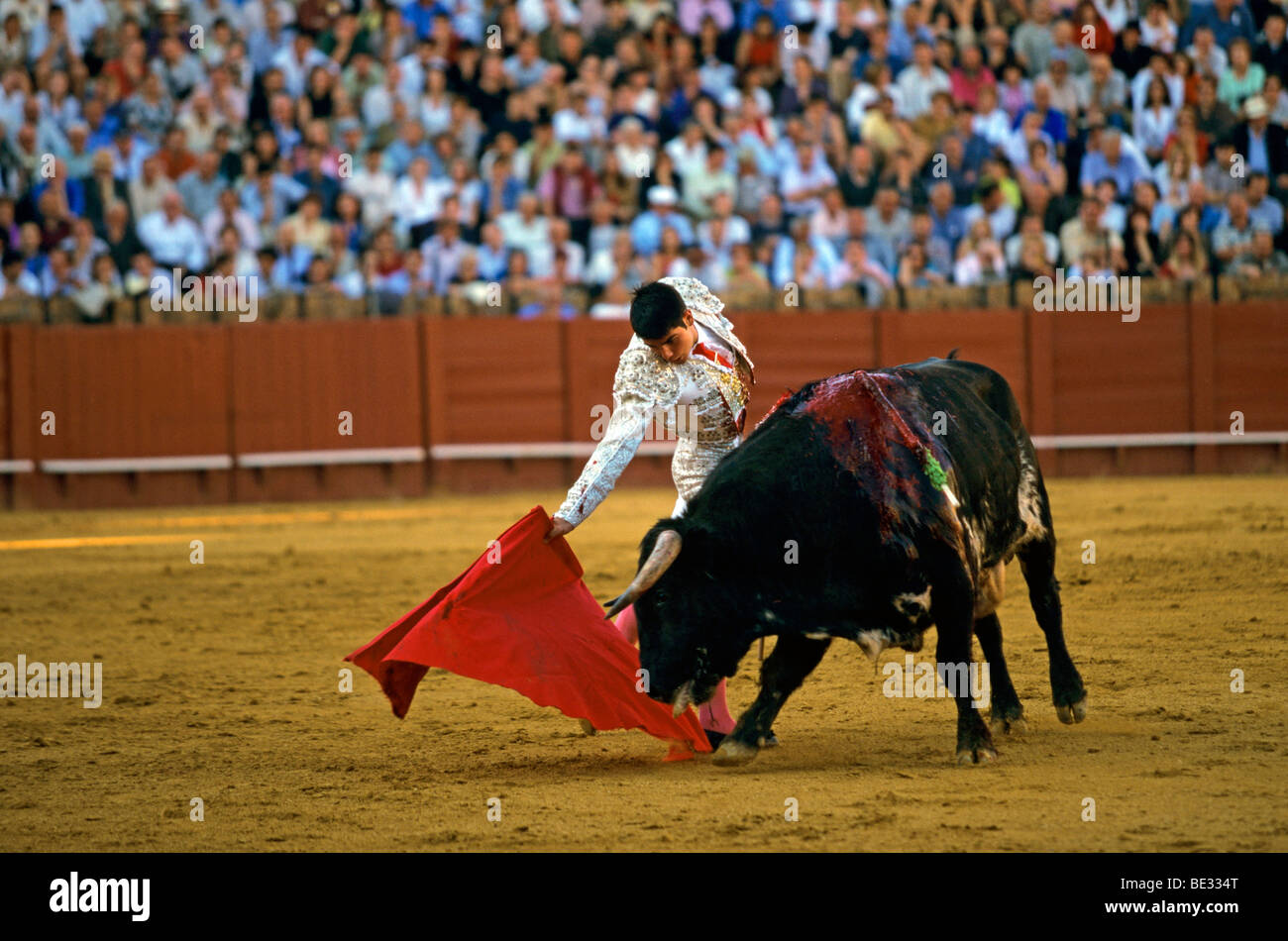 Bullfight at the Plaza de Toros, Seville, Andalusia, Spain, Europe Stock Photo