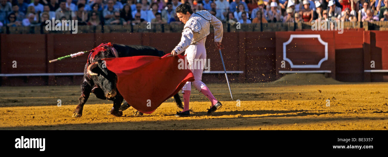 Bullfight at the Plaza de Toros, Seville, Andalusia, Spain, Europe Stock Photo