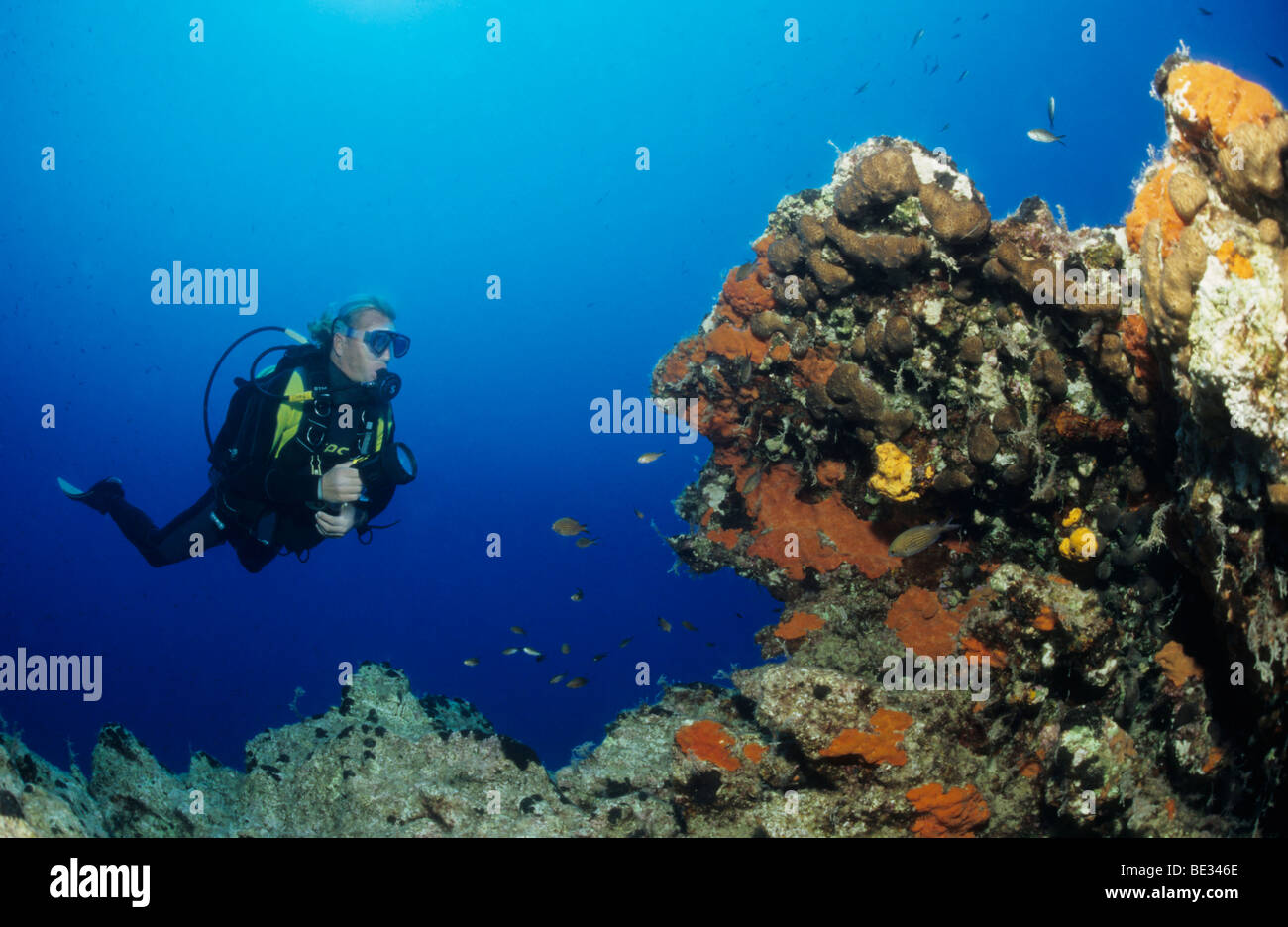 Mediterranean Reef and Diver, Sarigerme, Aegean Sea, Mediterranean Sea, Turkey Stock Photo
