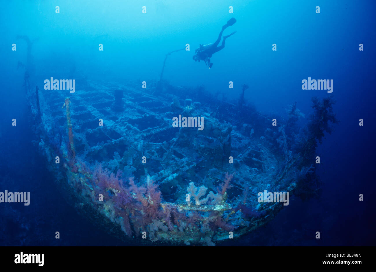 Diver over Wreck of Aida II, Brother Islands, Red Sea, Egypt Stock Photo