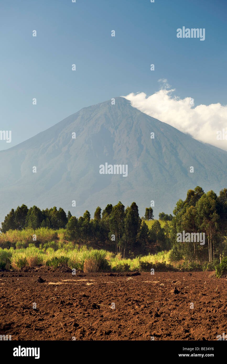 Mount muhavura hires stock photography and images Alamy