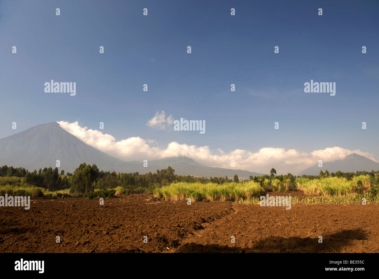 View of the three volcanic peaks in the Mgahinga Gorilla National Park in southern Uganda. Stock Photo