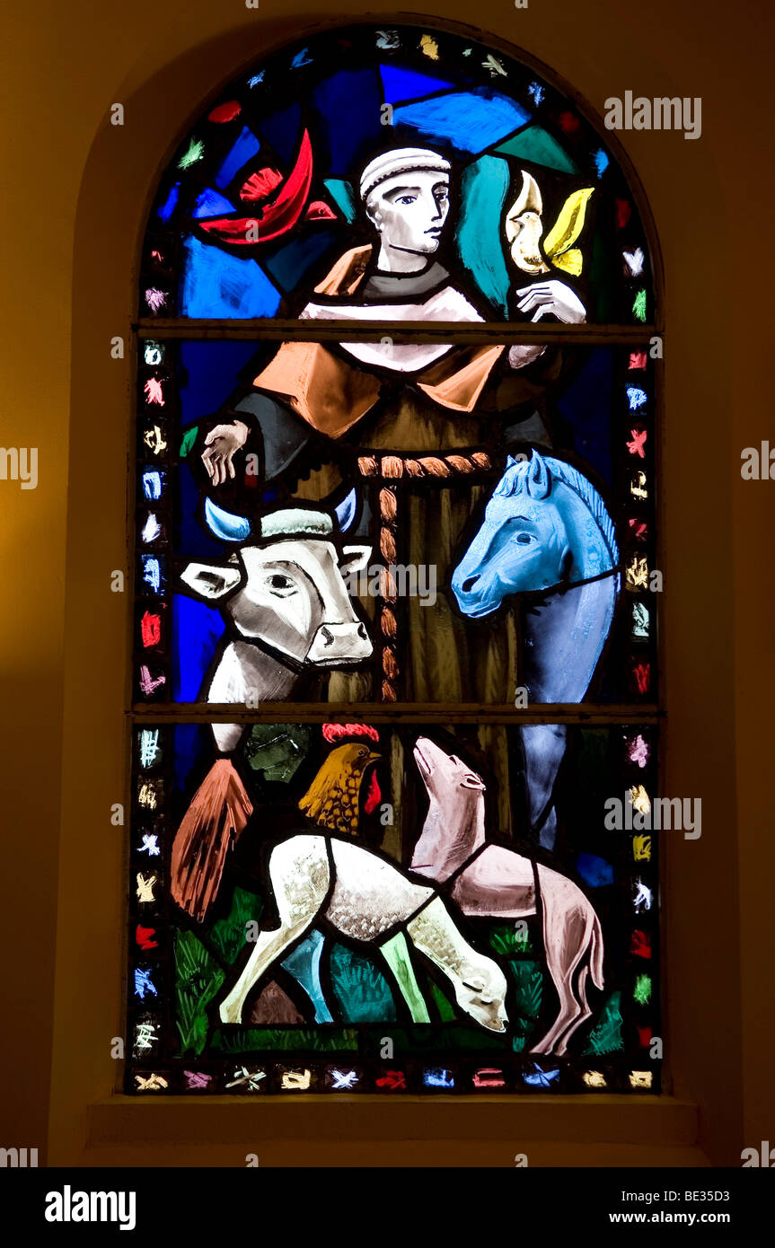 stained window with St Francis of Assisi preaching to the animals Stock Photo