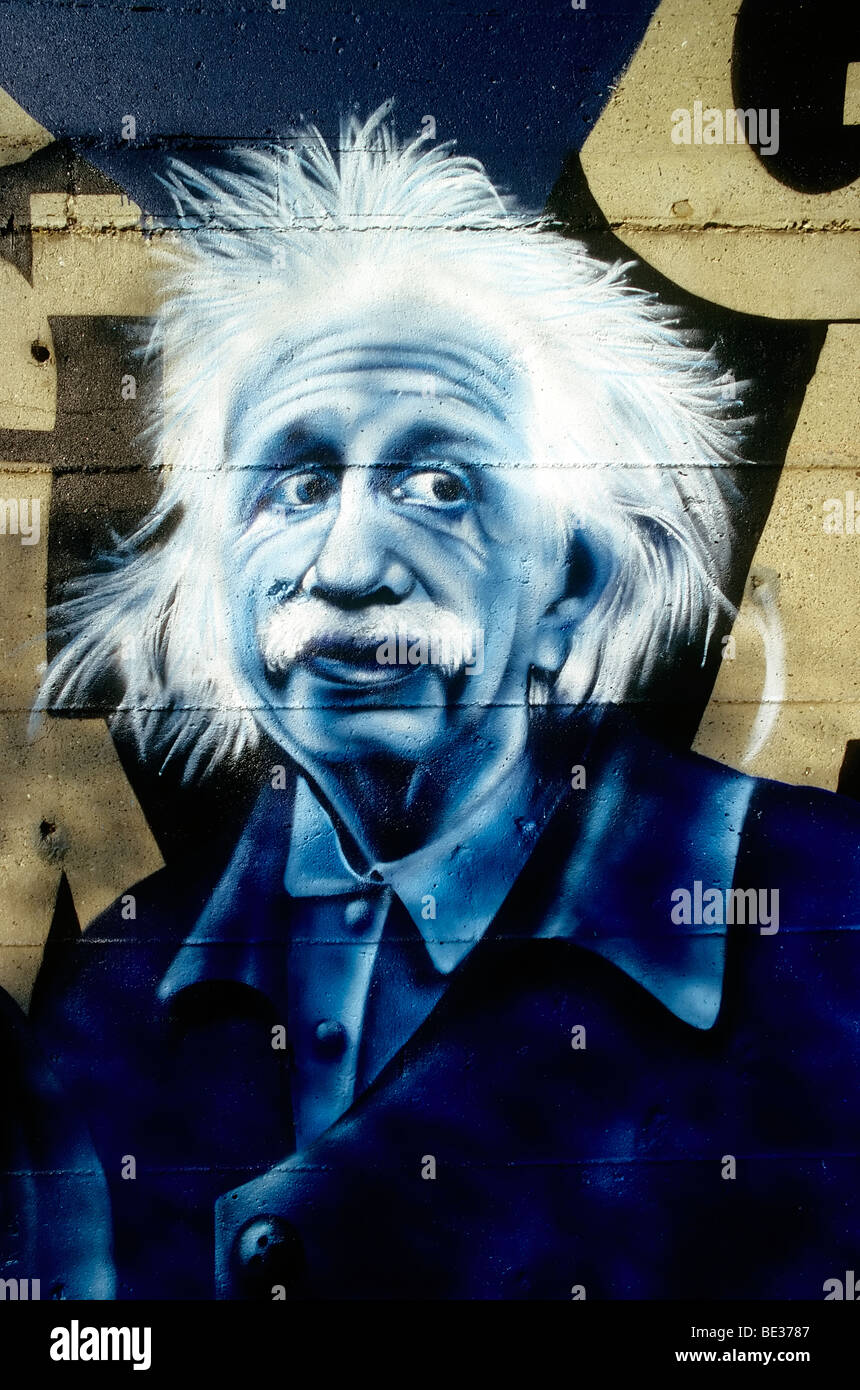 Graffiti portrait of Albert Einstein, street art, Rheinpark, Duisburg-Hochfeld, Ruhr Area, North Rhine-Westphalia, Germany, Eur Stock Photo