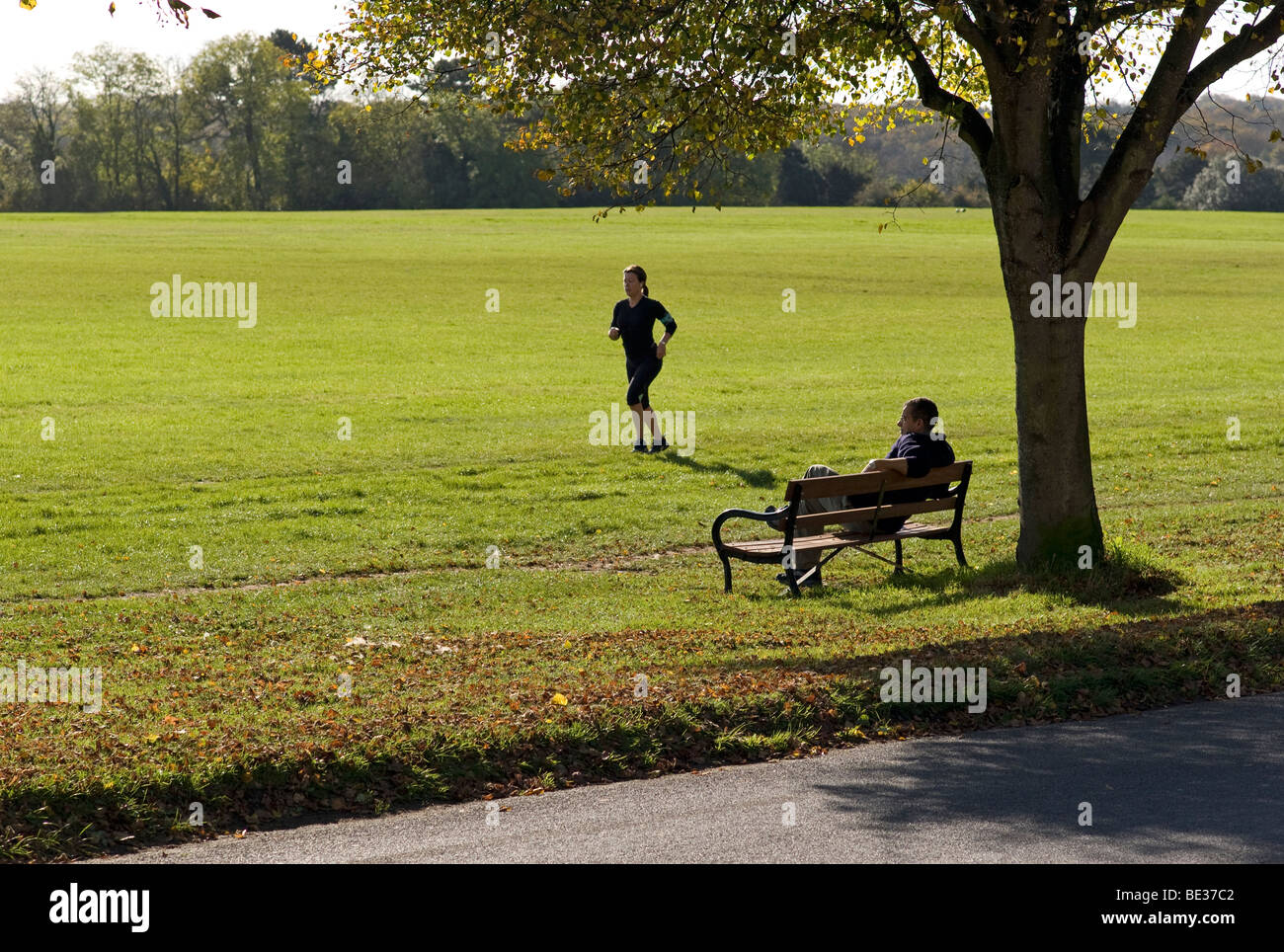 Running on the Clifton Downs, Bristol, UK Stock Photo Alamy