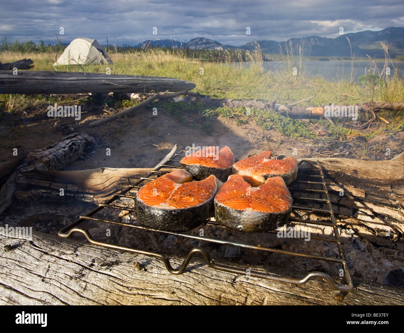 camping barbecue steak artoon