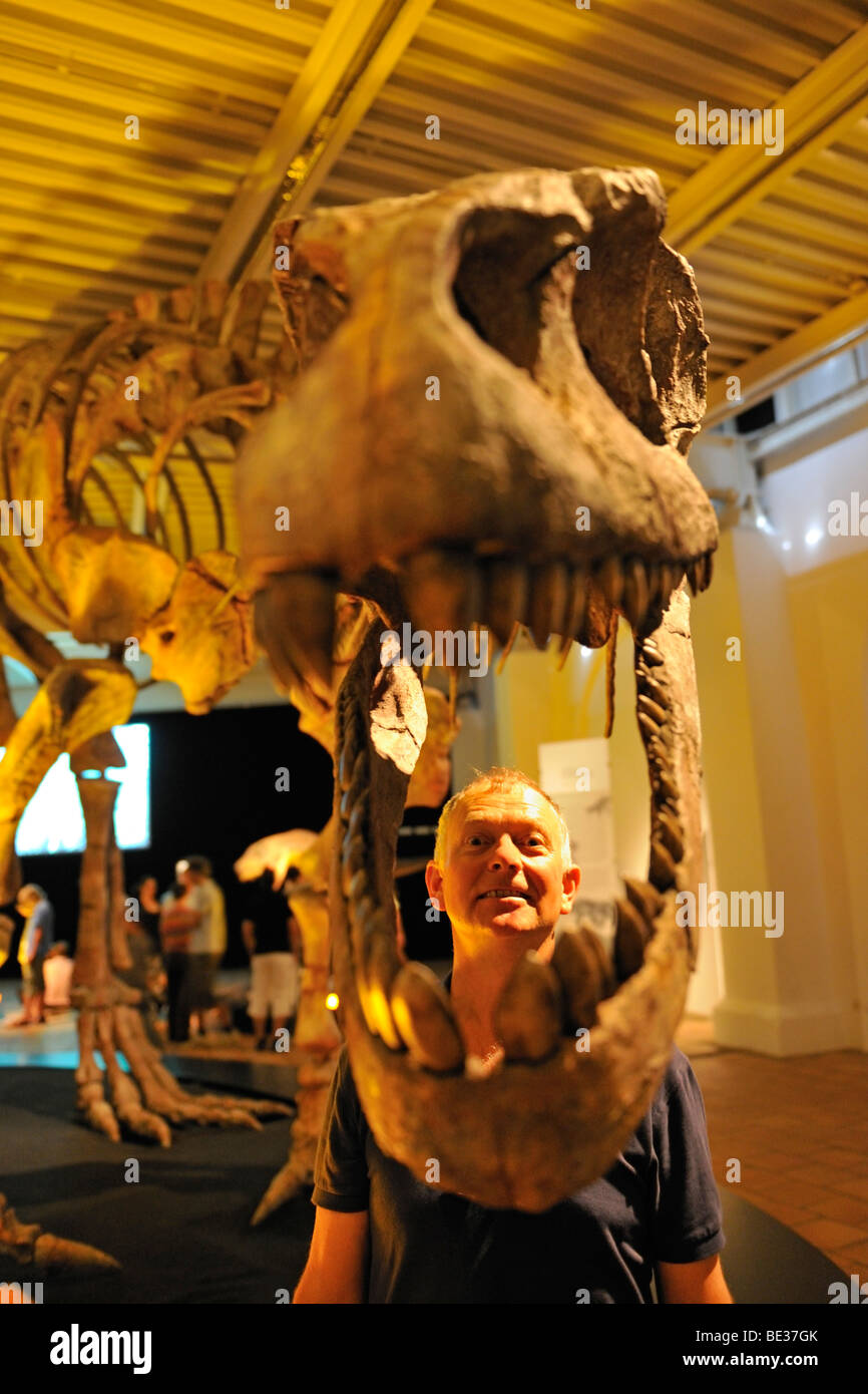 Brachytrachelopan mesai, herbivore, lived 145 million years ago, Giant Dinosaurs of Argentina exhibition, Lokschuppen, locomoti Stock Photo