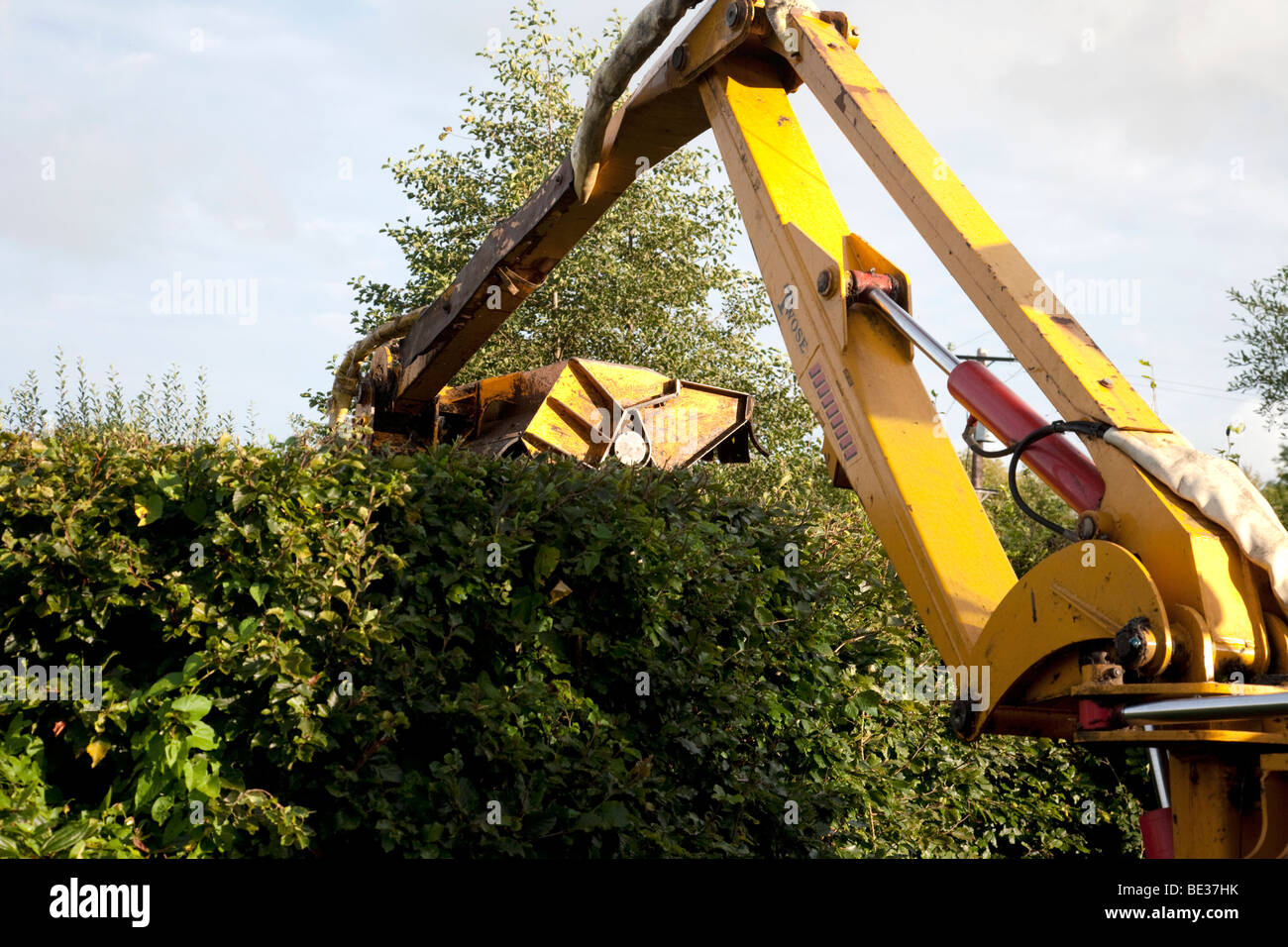 Hedge cutting with large machinery Ireland Stock Photo