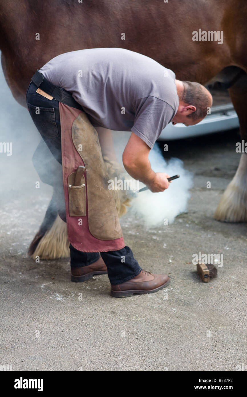 A mobile farrier shoeing a horse Stock Photo Alamy
