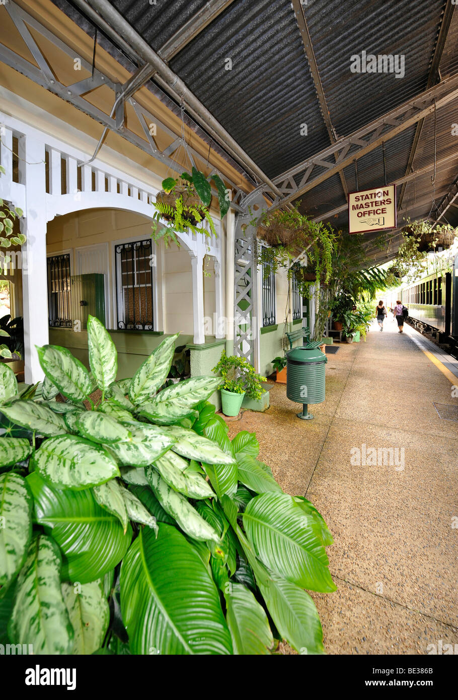 Historic Kuranda Village Station, Kuranda Scenic Railway, rainforest, Atherton Tablelands, Queensland, Australia Stock Photo