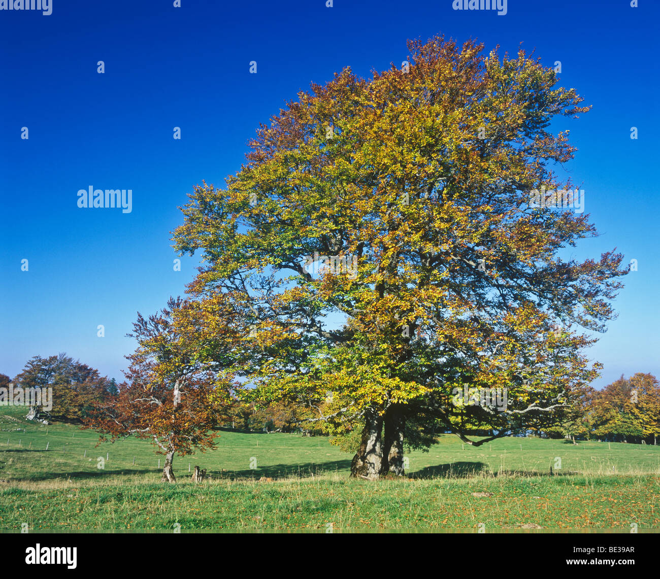 Schweizer Jura High Resolution Stock Photography and Images - Alamy