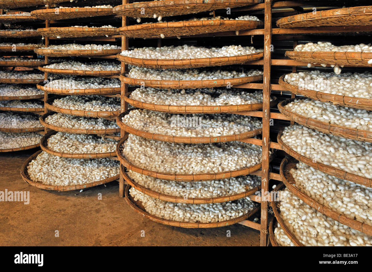 Baskets full of silkworm cocoons in a silk factory, v Stock Photo