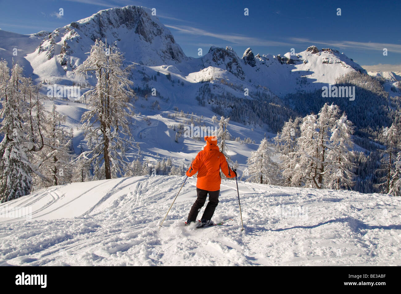 Skier off-piste, Nassfeld, Hermagor, Carinthia, Austria, Europe Stock Photo