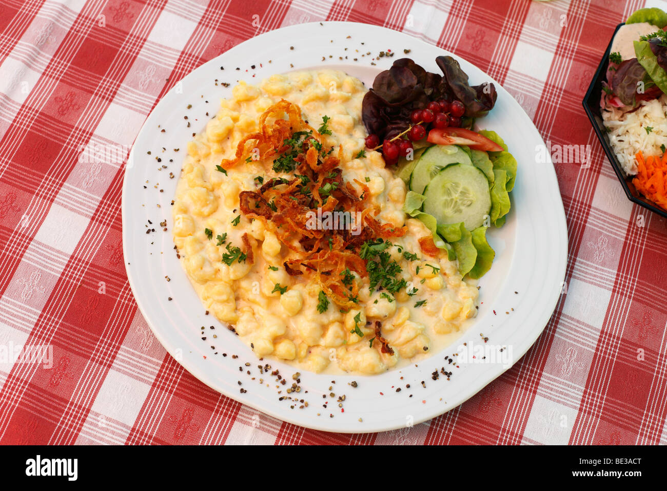 Cheese spaetzle, traditional egg pasta, with fried onions, Vorarlberg, Austria, Europe Stock Photo