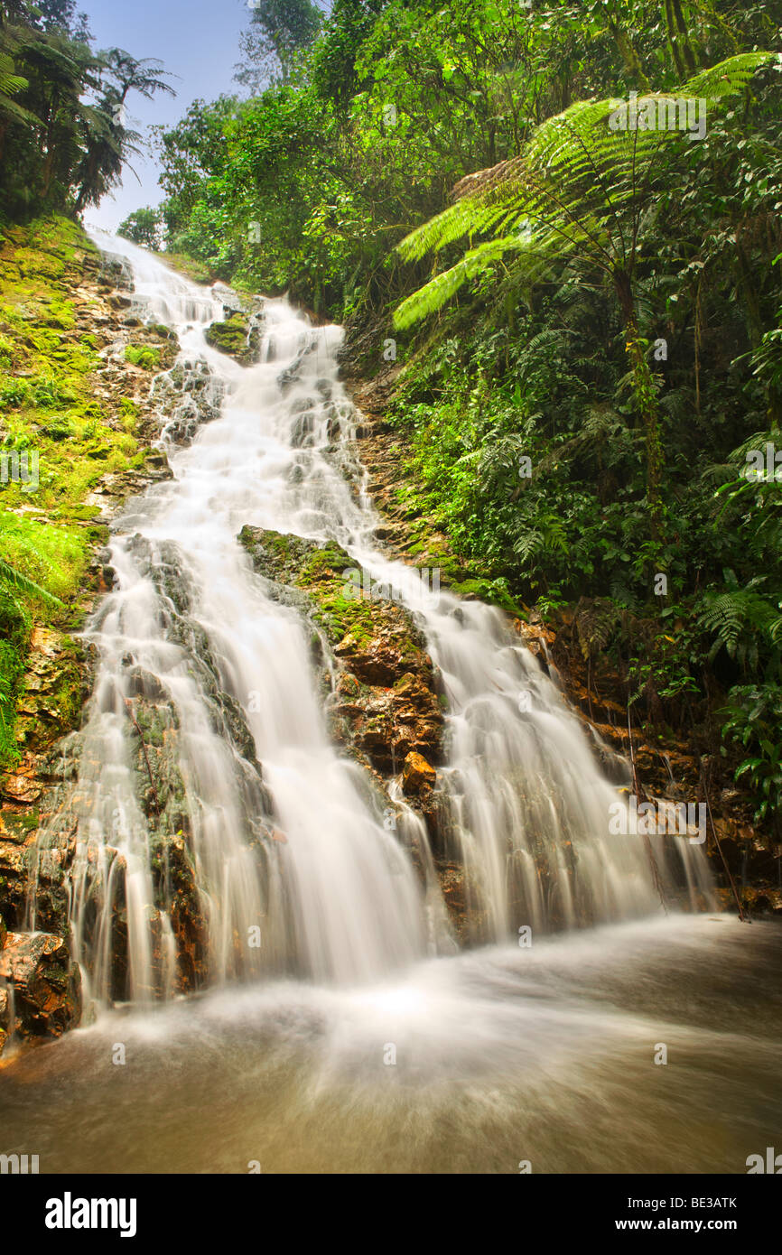 Waterfall in the rain forests of Bwindi Impenetrable National Park in southern Uganda. Stock Photo
