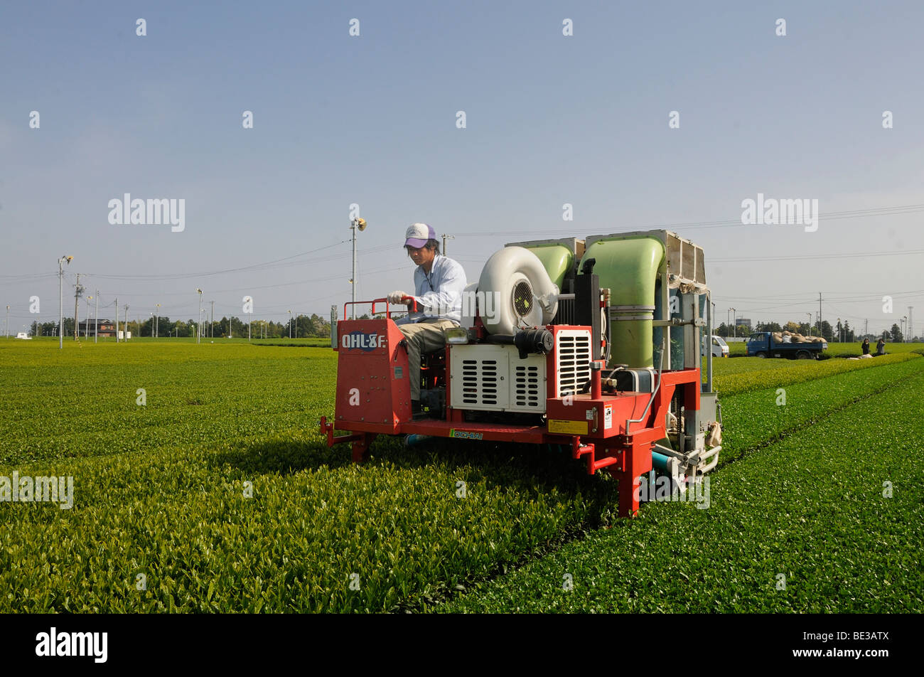 Coffee Picking Machine In India picpotatos