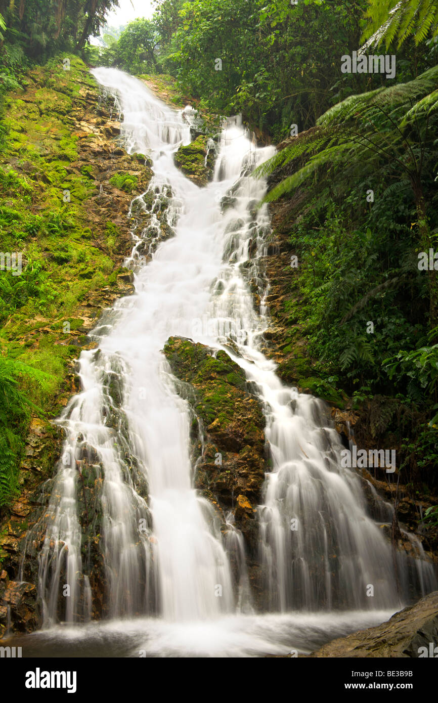 Waterfall in the rain forests of Bwindi Impenetrable National Park in southern Uganda. Stock Photo