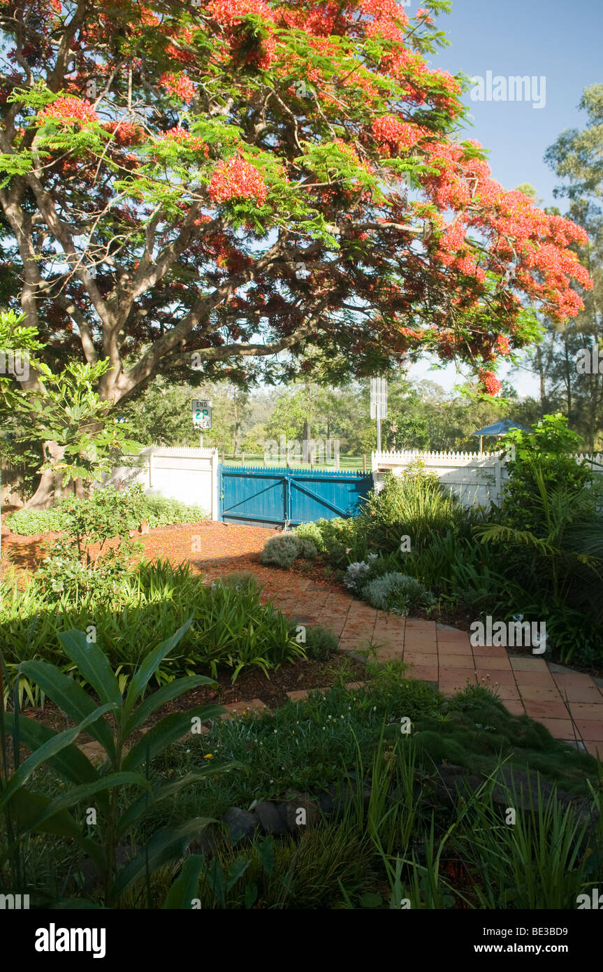 Garden path flowers australia hires stock photography and images Alamy