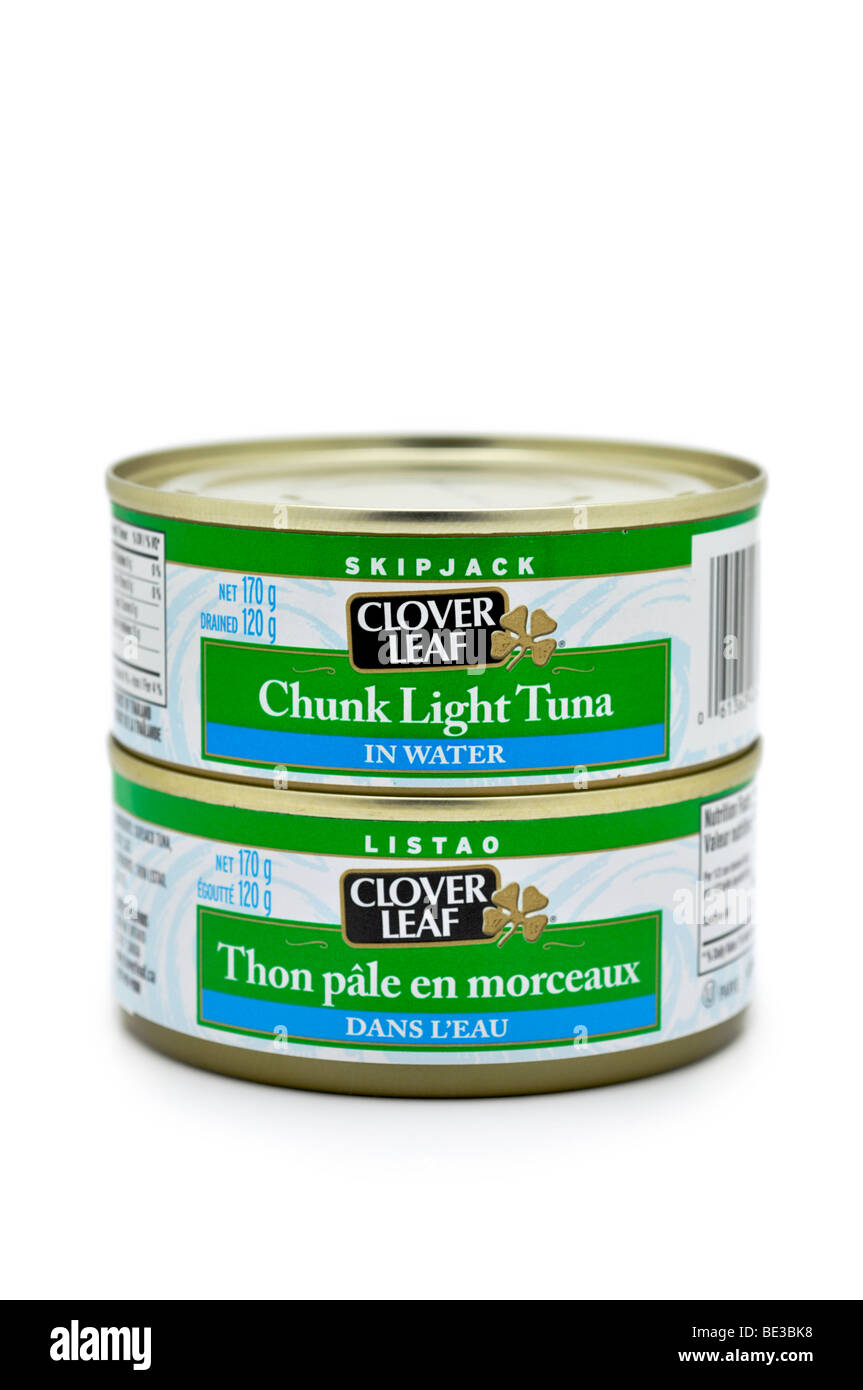 Tinned Chunk Light Tuna in Water. Stock Photo