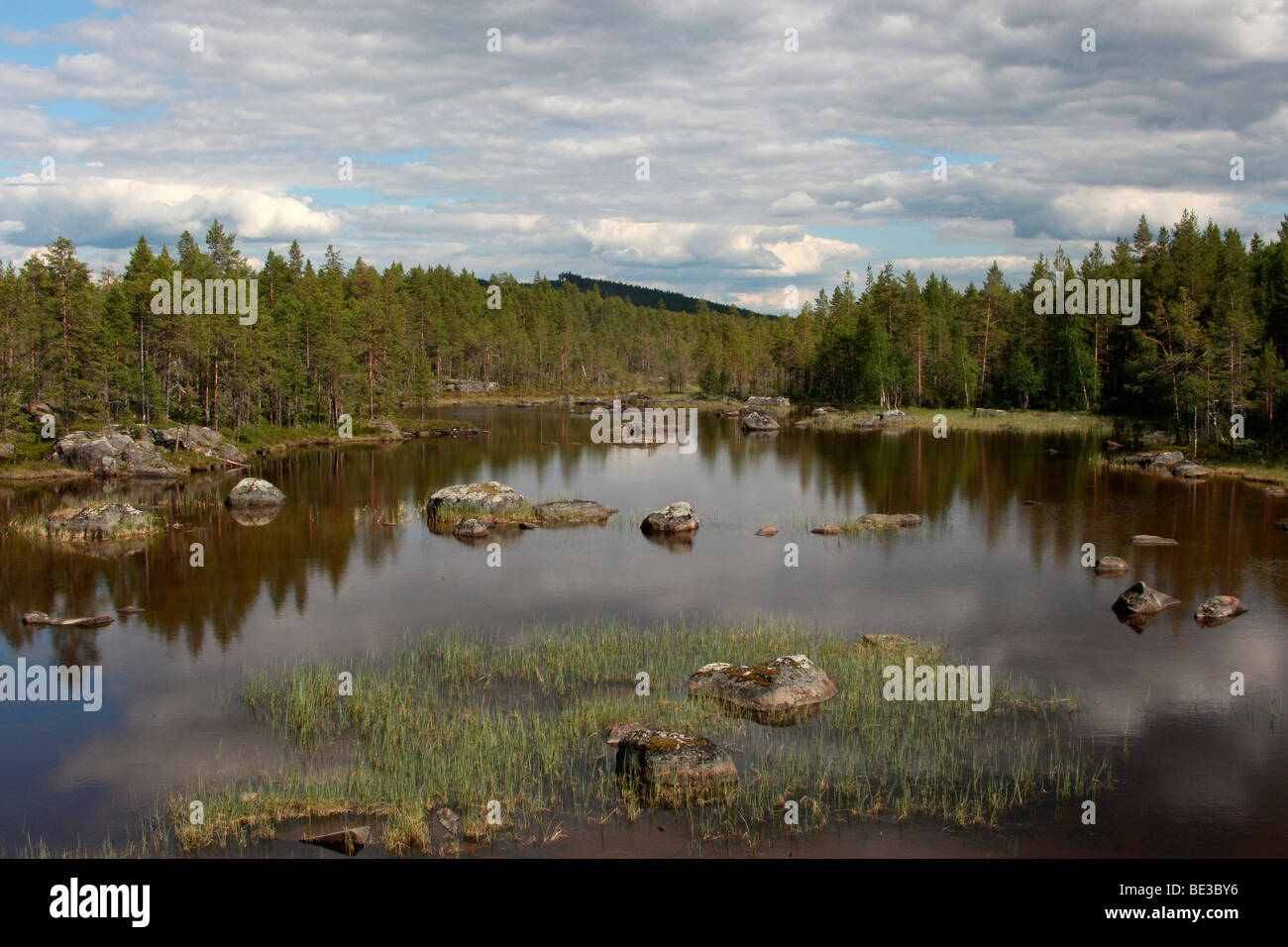 Lake landscape, Lapland, Sweden, Europe Stock Photo