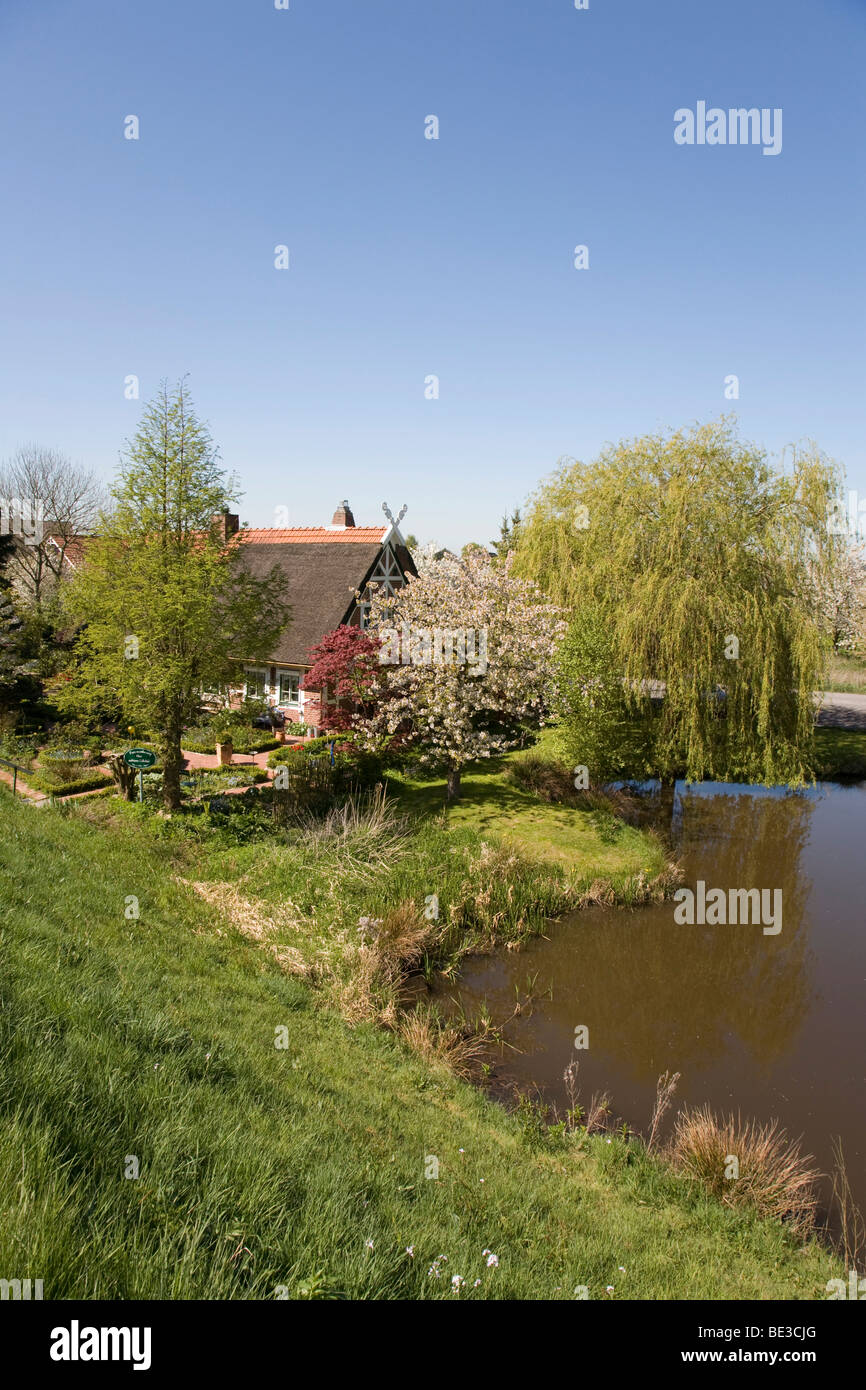 Regional farmhouse idyllically located on a pond in Gruenendeich, Altes Land, Lower Elbe, Lower Saxony, North Germany, Germany, Stock Photo