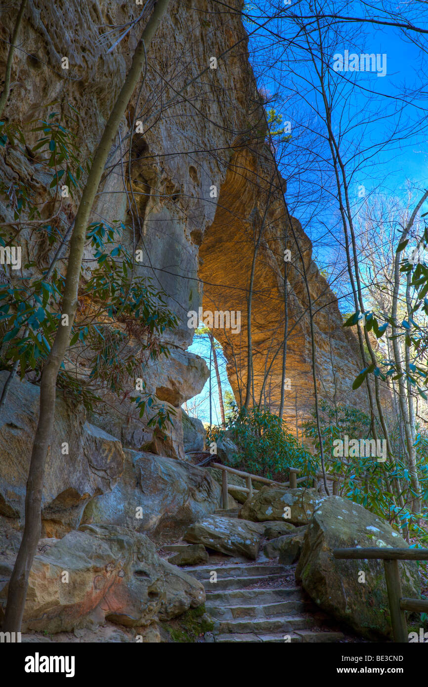Natural Bridge State Park Stock Photo Alamy