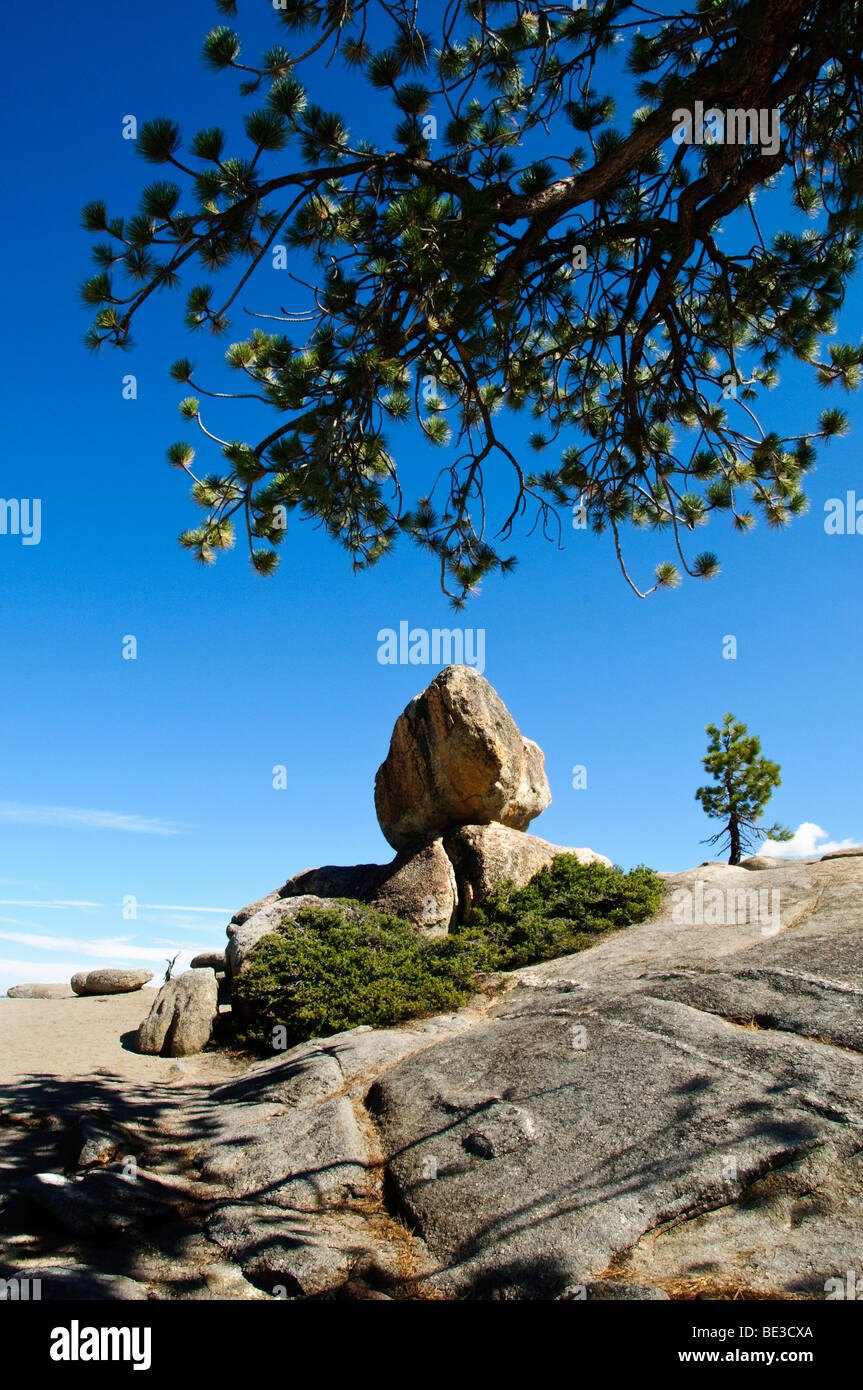 YOSEMITE NATIONAL PARK, California — The rugged Taft Point trail winds through pine forests towards breathtaking views of Yosemite Valley. The path leads to dramatic cliff-edge vistas, offering a less-crowded alternative to popular overlooks and showcasing the park's awe-inspiring granite formations and vast wilderness. Stock Photo