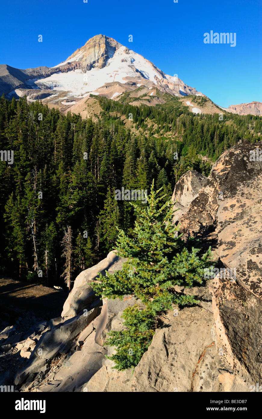 East face of Mount Hood volcano, Cascade Range, Oregon, USA Stock Photo