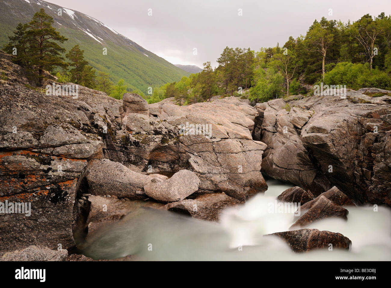 Wild Driva River in the Dovrefjell National Park, Norway, Scandinavia, Europe Stock Photo
