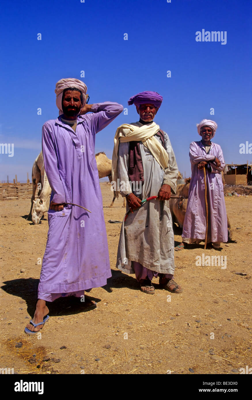Three Bedouins in traditional dress, pride, Egyptian, djellaba, turban, pose, Camel market, Shalatin, Egypt, Africa Stock Photo