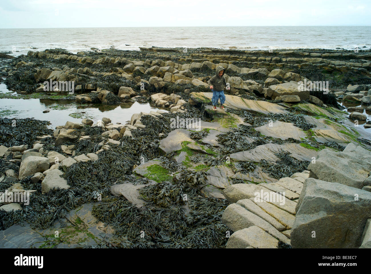 Fossil Hunting Stock Photos & Fossil Hunting Stock Images Alamy