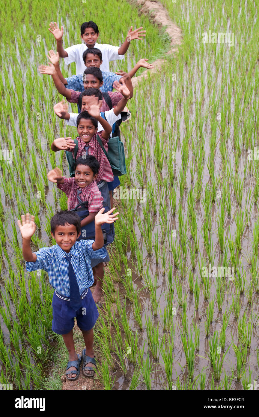 Indian school children walking across a rice paddy waving their hands. Andhra Pradesh, India. Stock Photo