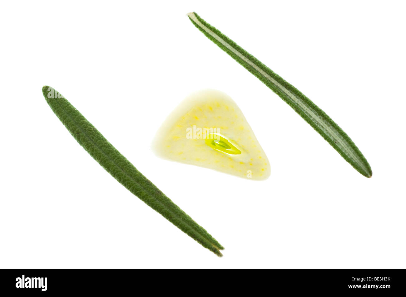 Garlic slice with rosemary Stock Photo