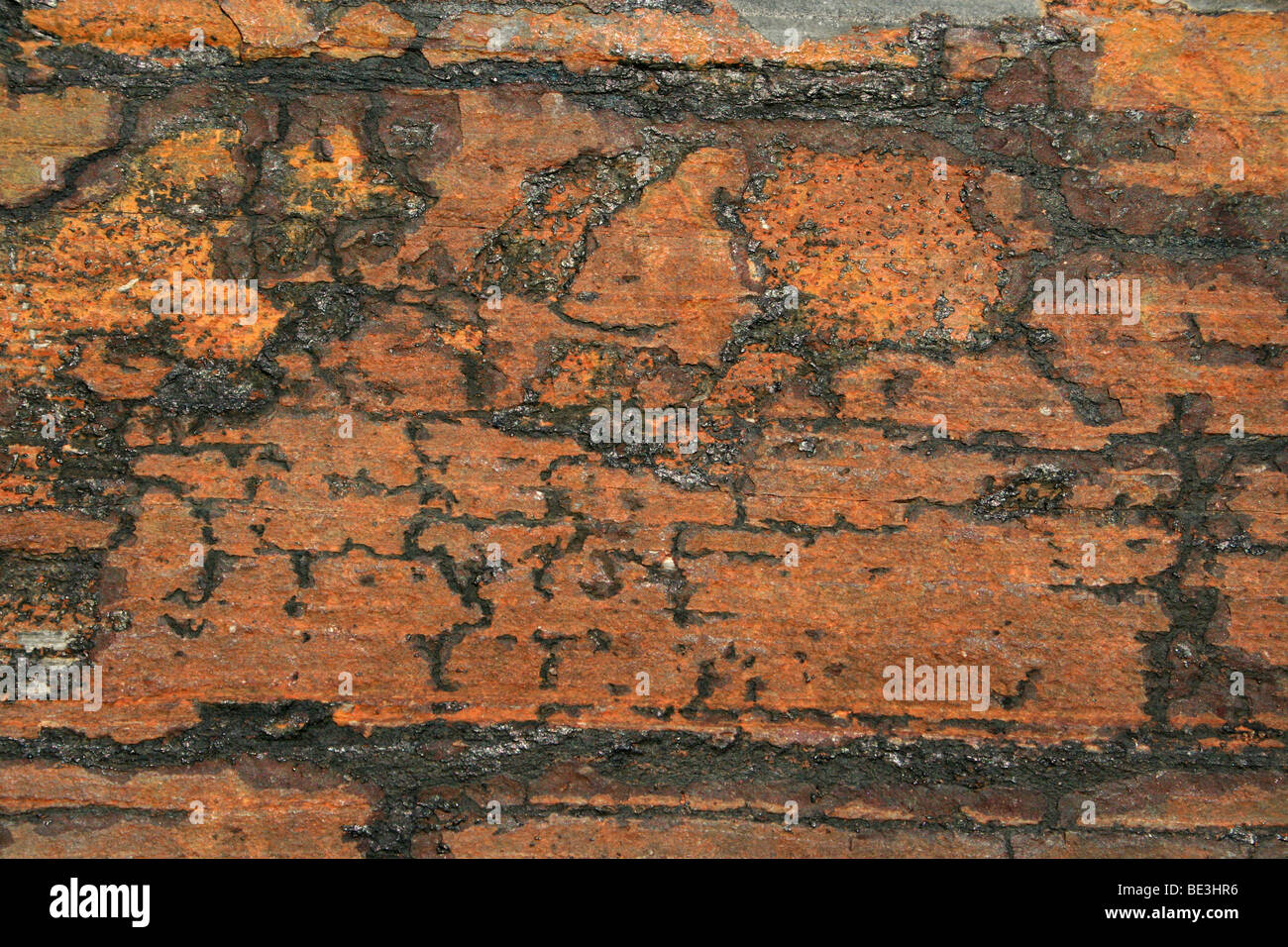 Rust Coloured Patterns On The Metamorphic Rock Slate. Taken In Soweto, Johannesburg, South Africa Stock Photo