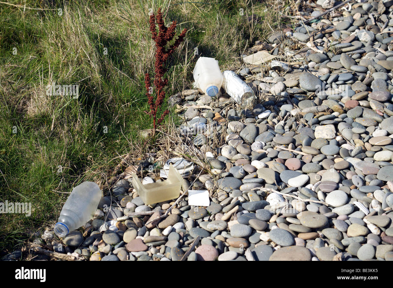 Litter washed up on pebble beach Stock Photo